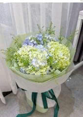 Hoa sáp Sương Lam 