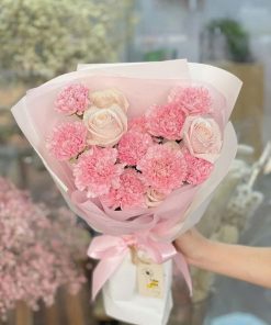Hồng Mây Nhẹ